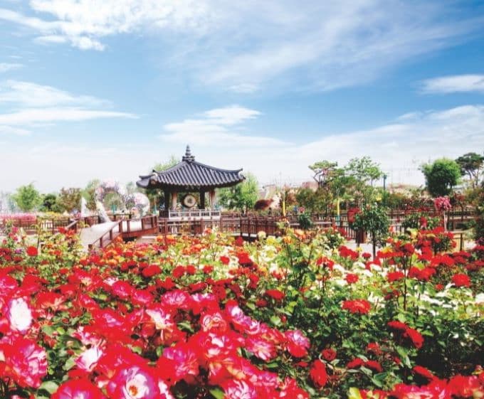 곡성세계장미축제