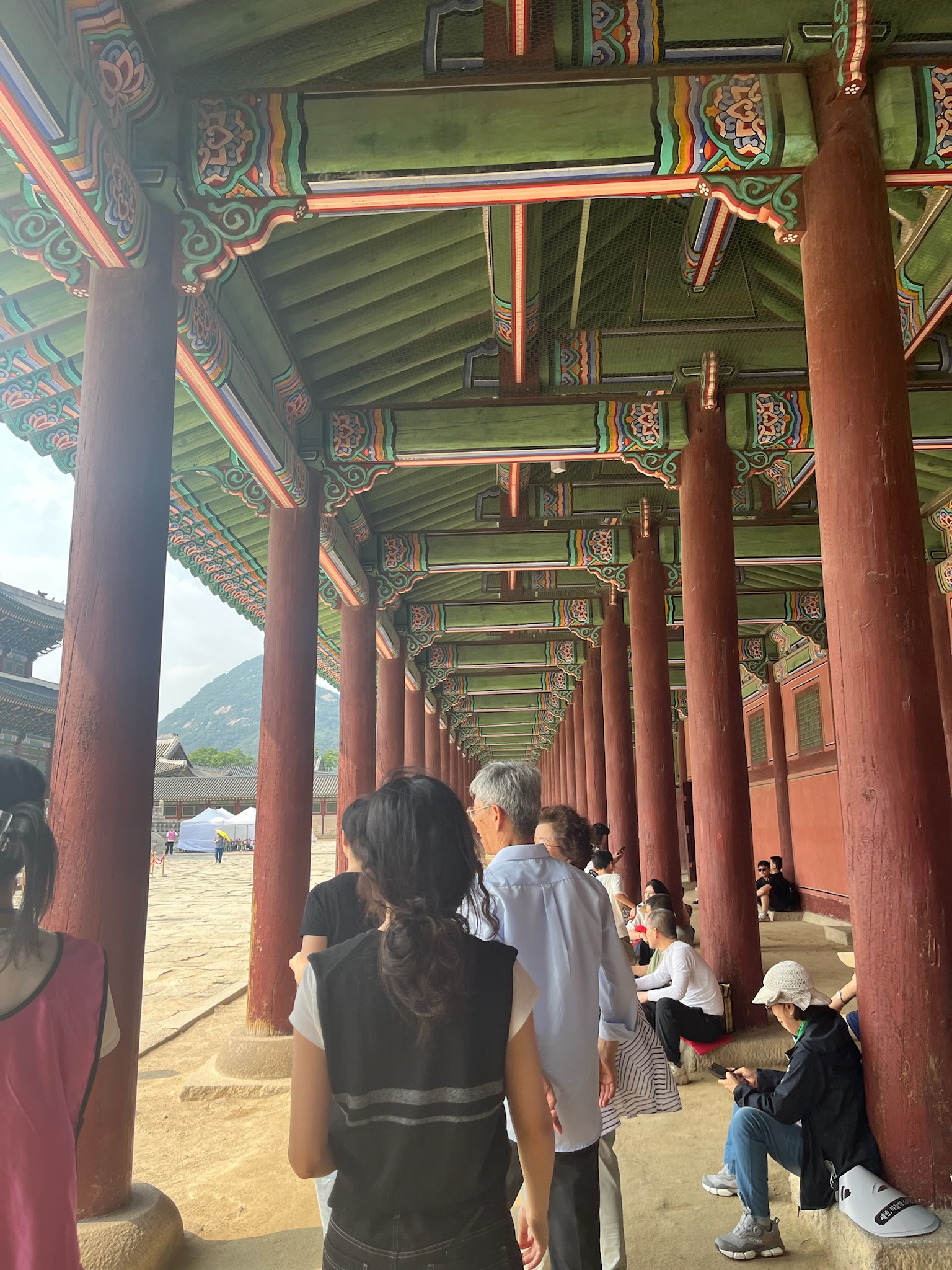 페스티벌 플러스